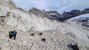 Bergtour Torstein Dachstein