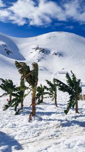 Pierra Creta Skitour Kreta Gstörte Touren
