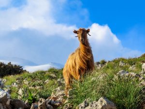 Skitour Kreta Lefka Ori Gstörte Touren