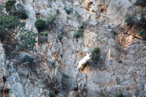 Klettern Kreta Agiofarago Gstörte Touren