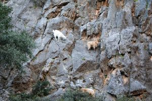 Klettern Kreta Agiofarago Gstörte Touren