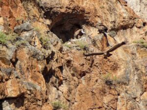 Gstörte Touren Klettern Kreta