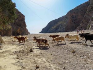 Gstörte Touren Klettern Kreta