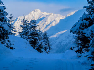 Eisklettern Eis Total 2023 Pitztal G'störte Touren