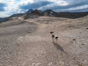 Hinteres Modereck Gstörte Touren