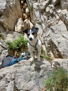 Klettern Slowenien Czrni Kal Osp Gstörte Touren