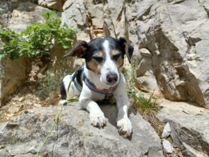 Klettern Slowenien Czrni Kal Osp Gstörte Touren