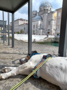 Klettern Slowenien Czrni Kal Osp Gstörte Touren