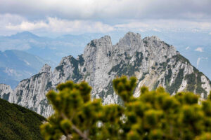 Braunedlkogel Gstörte Touren Hundewanderung