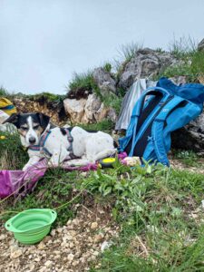 Braunedlkogel Gstörte Touren Hundewanderung
