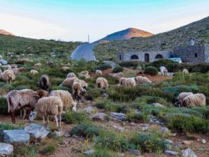 Psiloritis Kreta Gstörte Touren