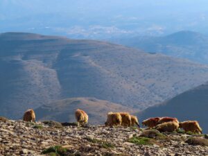 Psiloritis Kreta Gstörte Touren