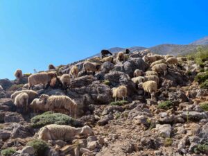 Psiloritis Kreta Gstörte Touren