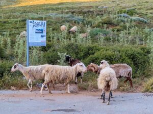 Psiloritis Kreta Gstörte Touren
