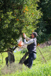 Psiloritis Gstörte Touren