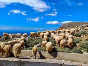 Kreta Gstörte Touren