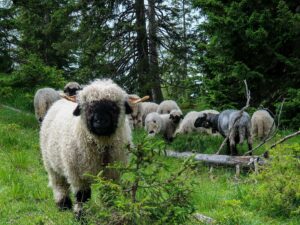 Unnütz Gstörte Touren